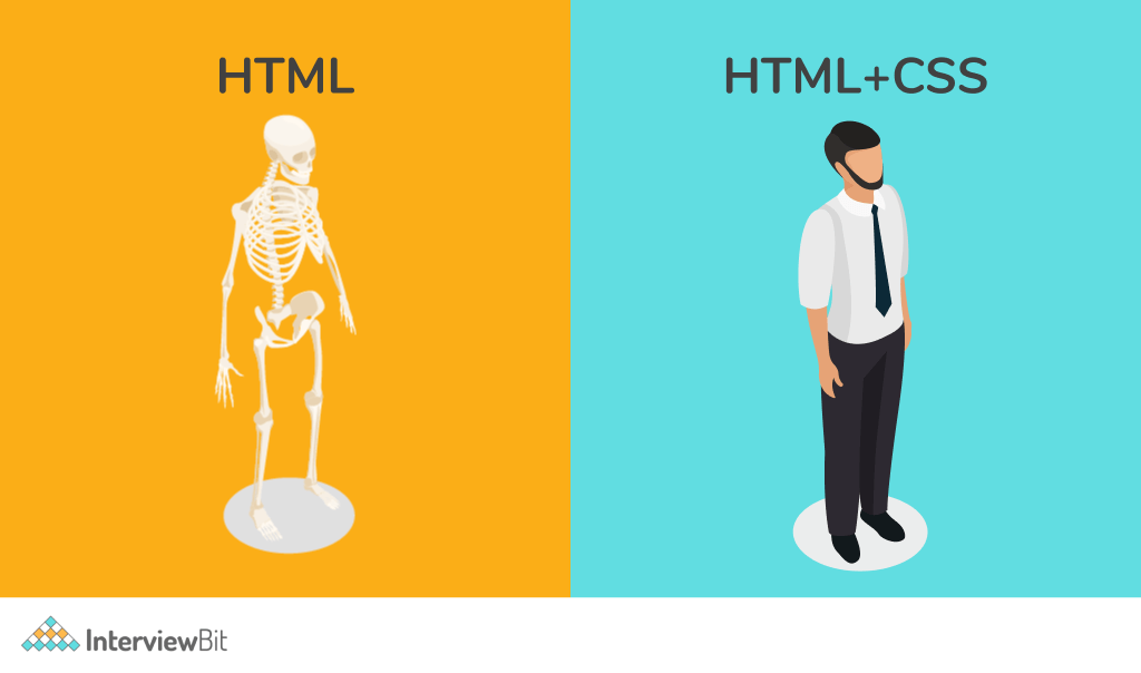 Difference Between HTML And CSS InterviewBit