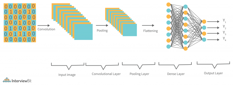 Cnn Architecture - Detailed Explanation - Interviewbit