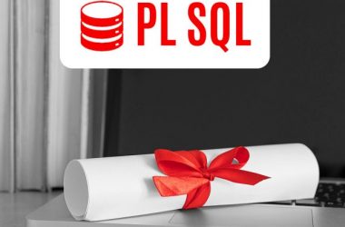 cropped-What-is-the-career-scope-of-PL-SQL_.jpg